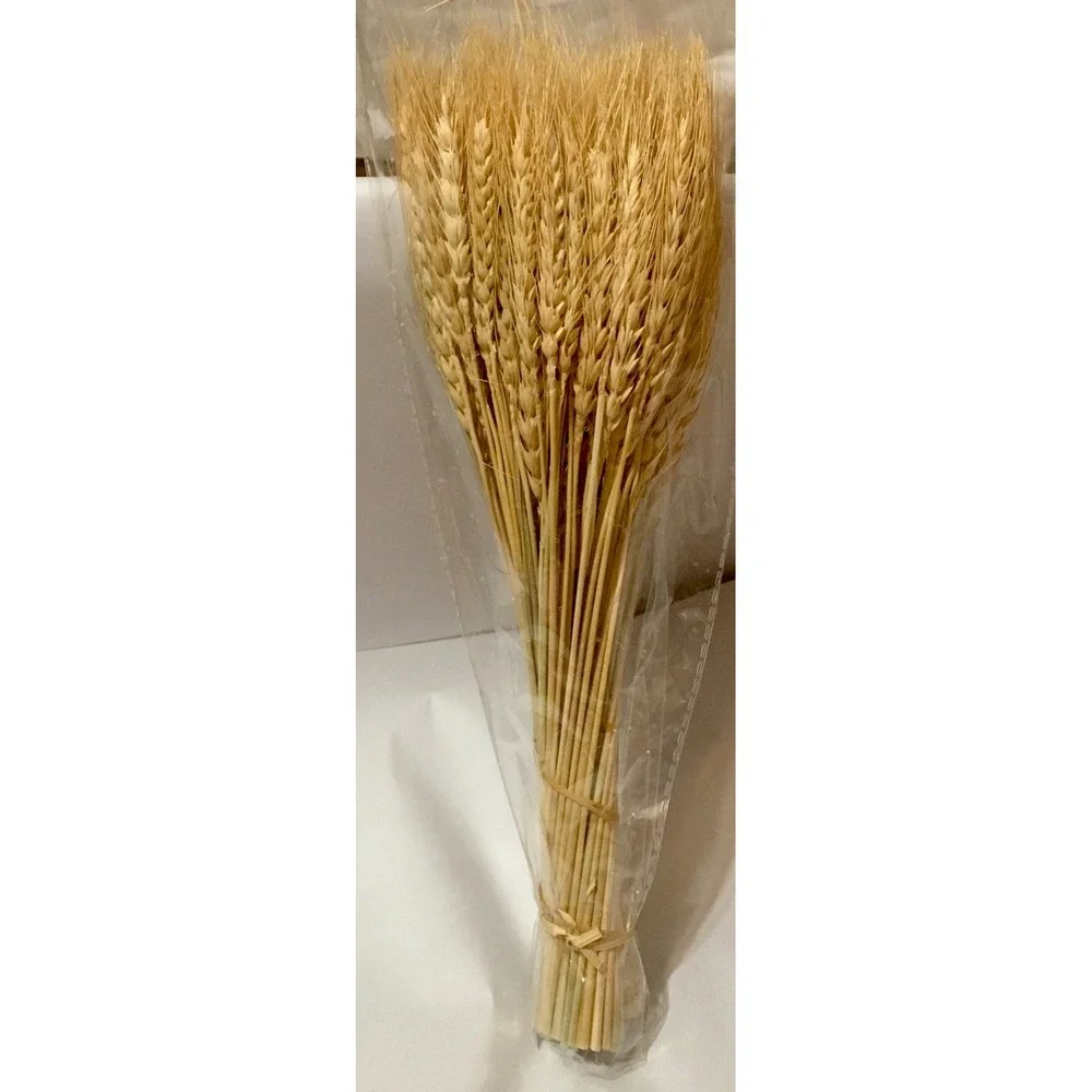 100 Stems Dried Wheat Stalks for Decor Sheaves Grass Natural Golden